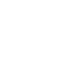 Zibian